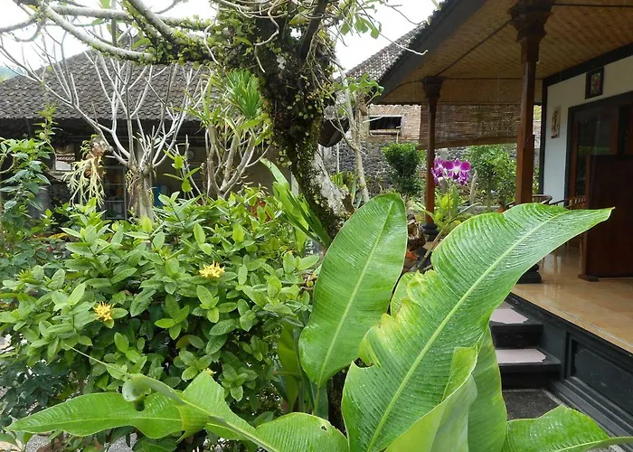 Milla Habitación en casa particular Sidemen (Bali)