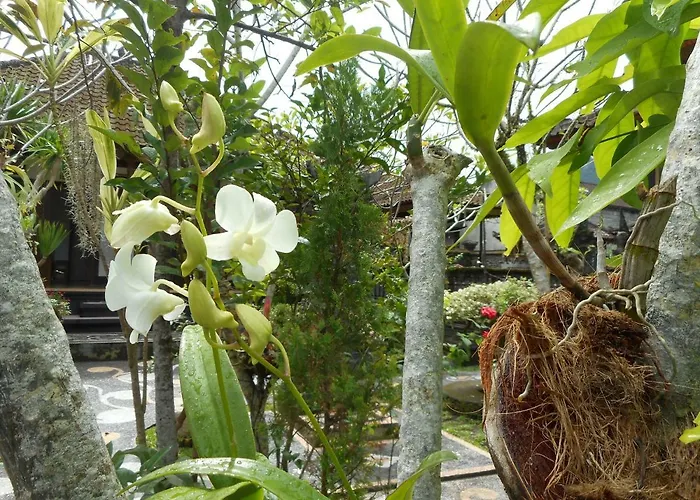 Habitación en casa particular Milla Sidemen (Bali)